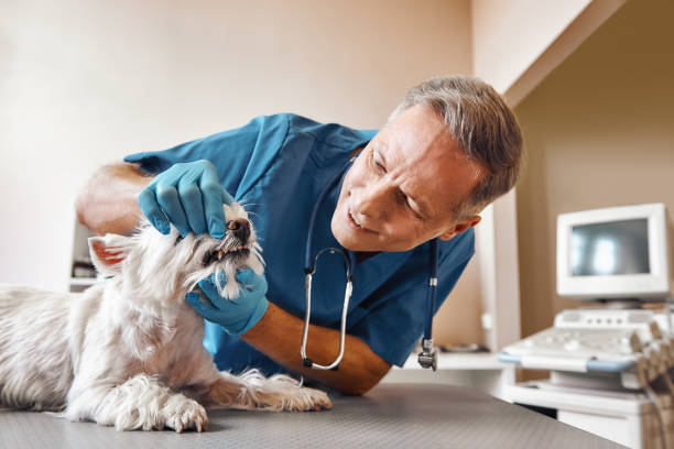 Best Emergency Tooth Extraction  in Martinsvle, IL